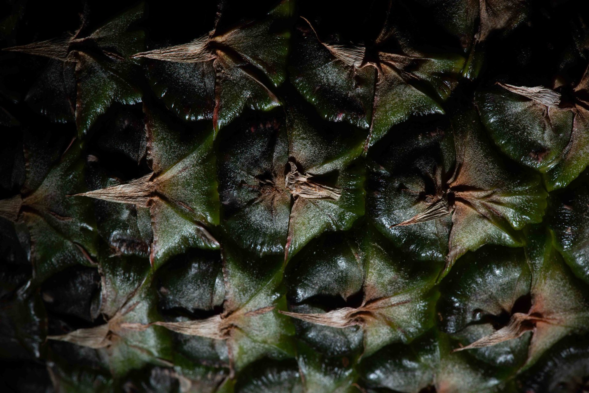 Vista ravvicinata della corteccia dell'ananas